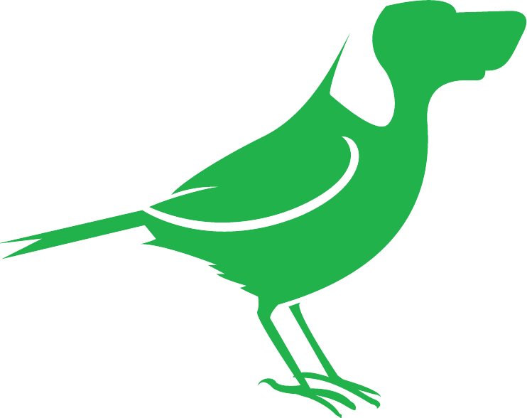 BirdDog logo