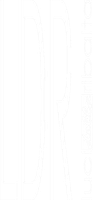 LDR logo