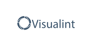 Visualint logo